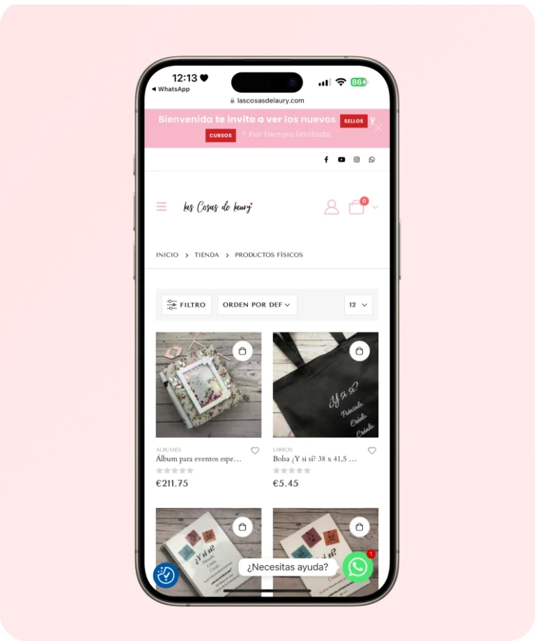 LASCOSASDELAURY2 (1)