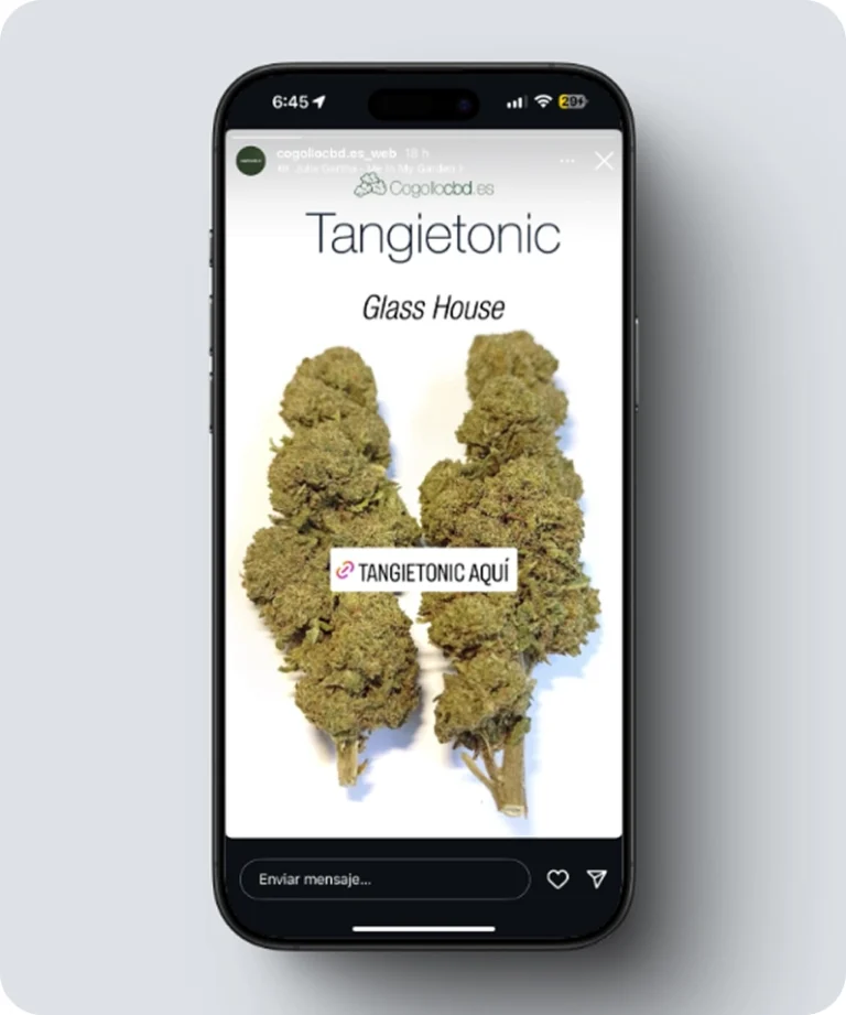 mockup_cogollo_Mesa de trabajo 1 copia 1