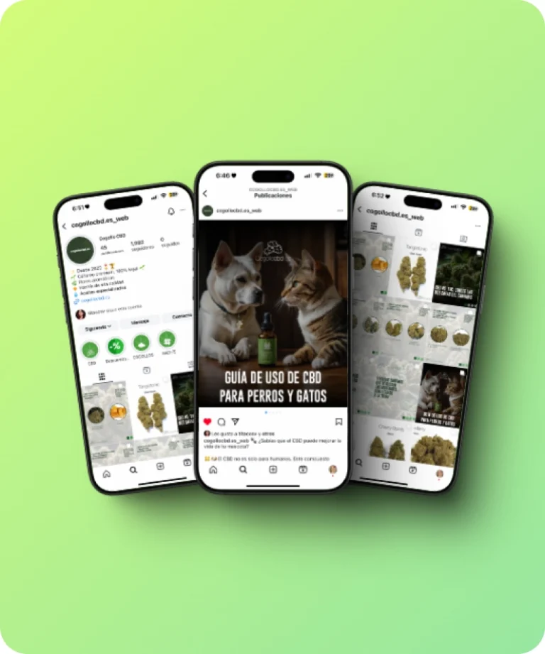 portfolio-deign-1024x512 (4)